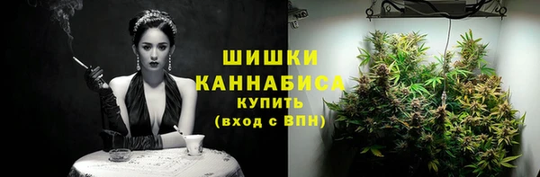 гашик Белоозёрский