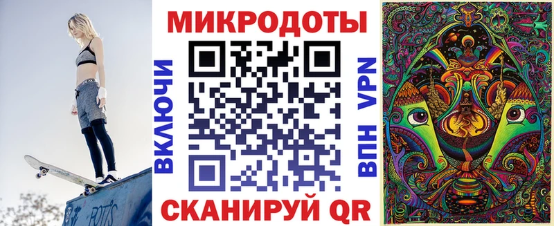 Псилоцибиновые грибы Cubensis  Тогучин 