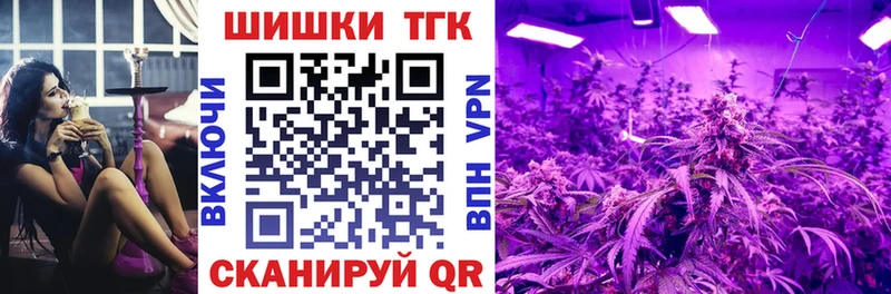 продажа наркотиков  MEGA ТОР  Шишки марихуана Ganja  Тогучин 